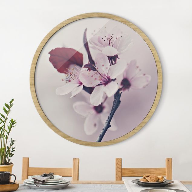 Framed prints round Cherry Blossom Branch Antique Pink
