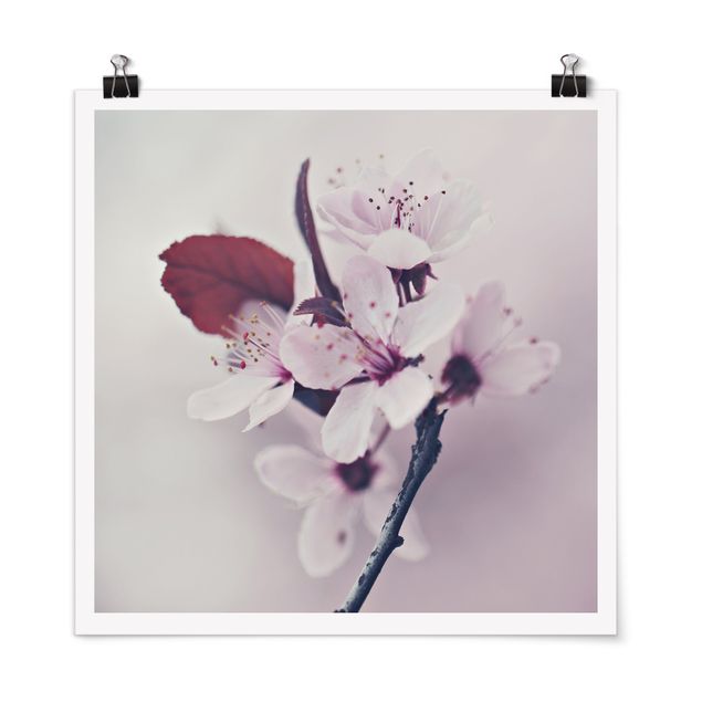 Poster - Cherry Blossom Branch Antique Pink