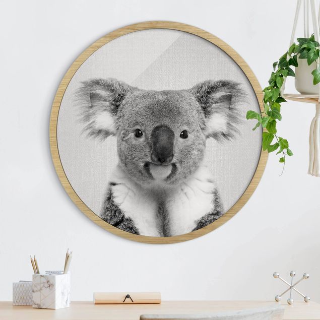 Framed prints round Koala Klaus Black And White