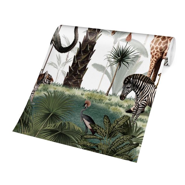 Wallpaper - Kingdom of the jungle animals