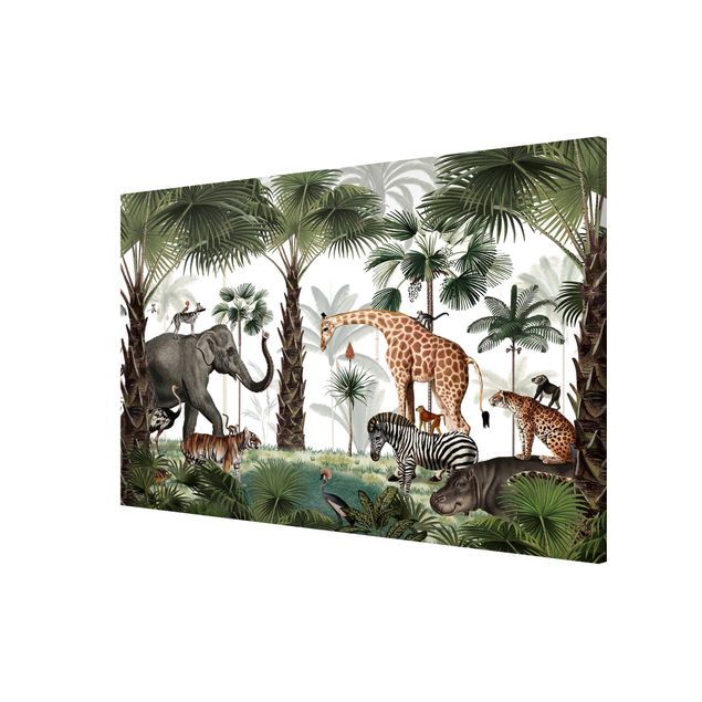 Magnetic memo board - Kingdom of the jungle animals