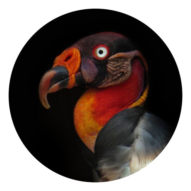 Self-adhesive round wallpaper - King Vulture In Front Of Black