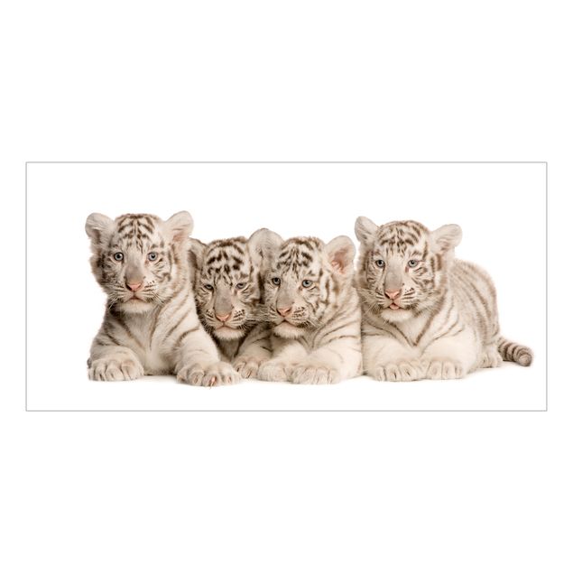 Window decoration - Bengal Tiger Babies