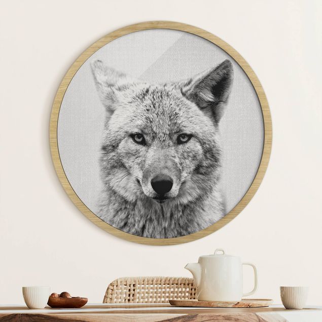 Framed prints round Coyote Kalle Black And White