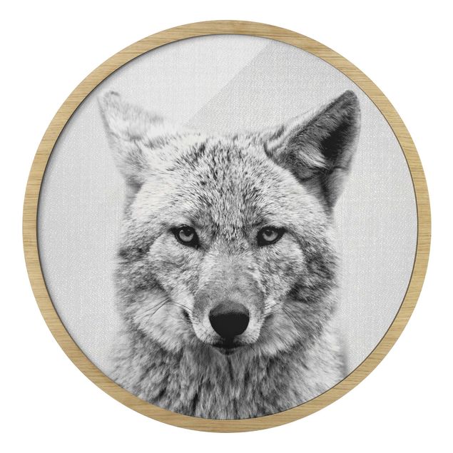 Circular framed print - Coyote Kalle Black And White