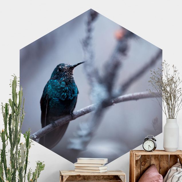 Hexagonal wallpapers Hummingbird In Winter