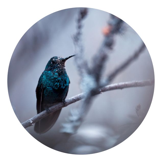 Self-adhesive round wallpaper - Hummingbird In Winter
