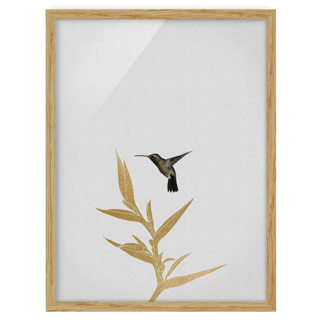 Framed poster - Hummingbird And Tropical Golden Blossom II