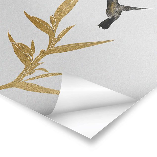 Poster - Hummingbird And Tropical Golden Blossom II