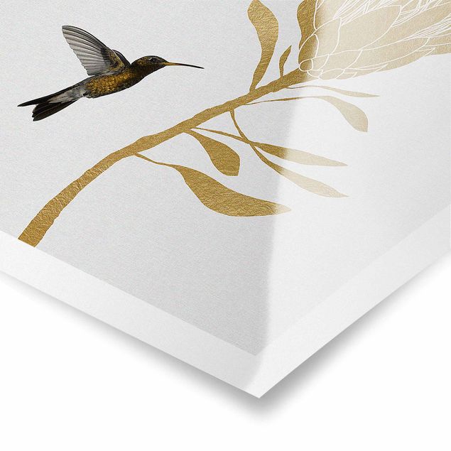 Poster - Hummingbird And Tropical Golden Blossom