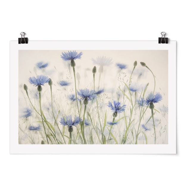 Poster - Cornflowers And Grasses In A Field