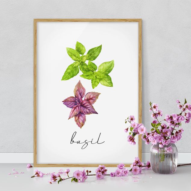Framed poster - Herbs Illustration Basil