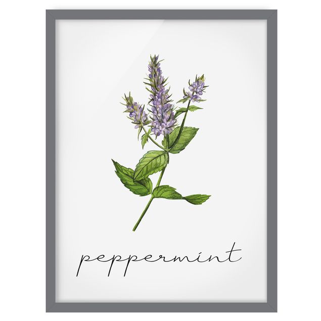 Framed poster - Herbs Illustration Pepper Mint