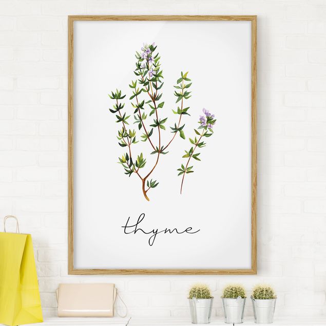 Framed poster - Herbs Illustration Thyme