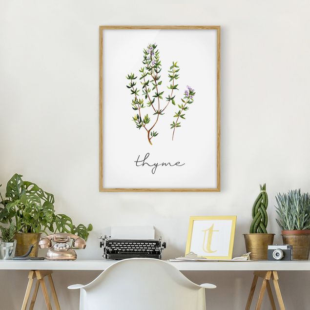 Framed poster - Herbs Illustration Thyme