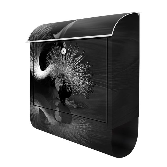 Letterbox - Crowned Crane Bow Black And White