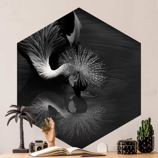 Wallpapers Crowned Crane Bow Black And White