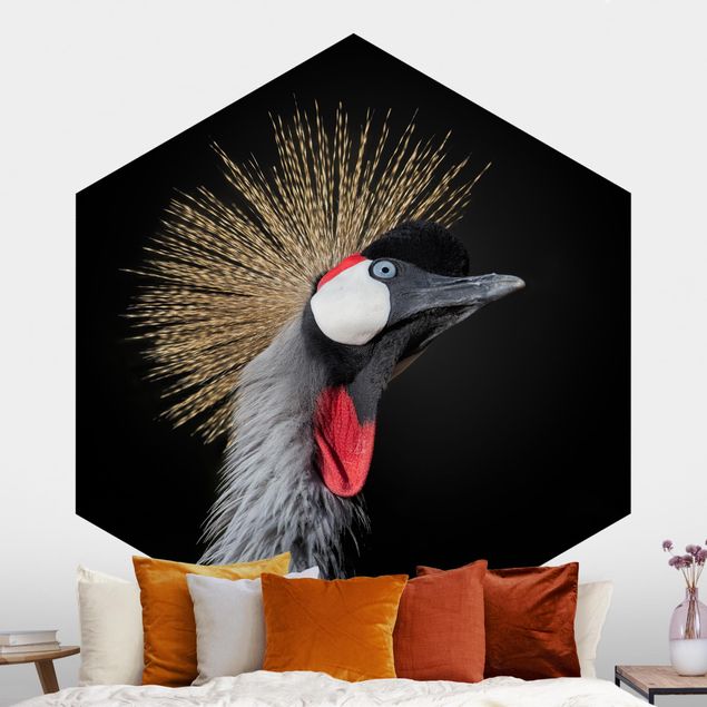 Self-adhesive hexagonal wall mural Crowned Crane In Front Of Black