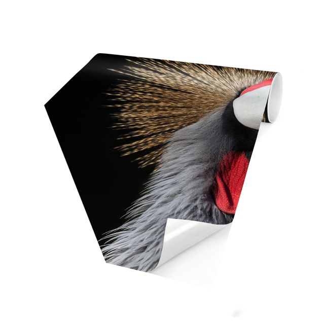 Self-adhesive hexagonal pattern wallpaper - Crowned Crane In Front Of Black