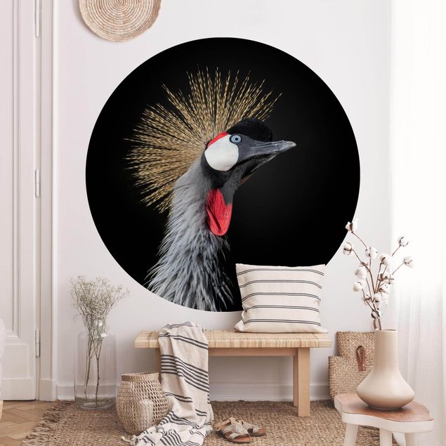 Wallpapers Crowned Crane In Front Of Black