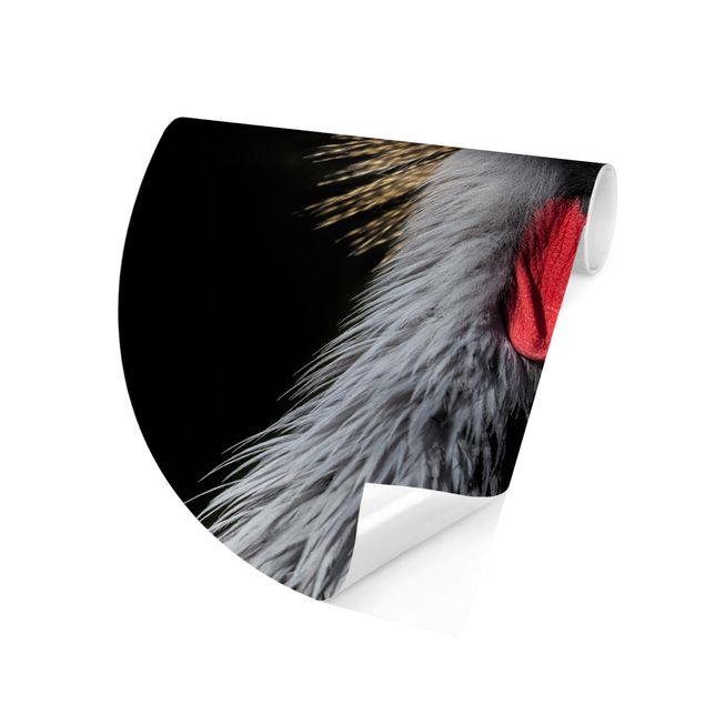 Self-adhesive round wallpaper - Crowned Crane In Front Of Black