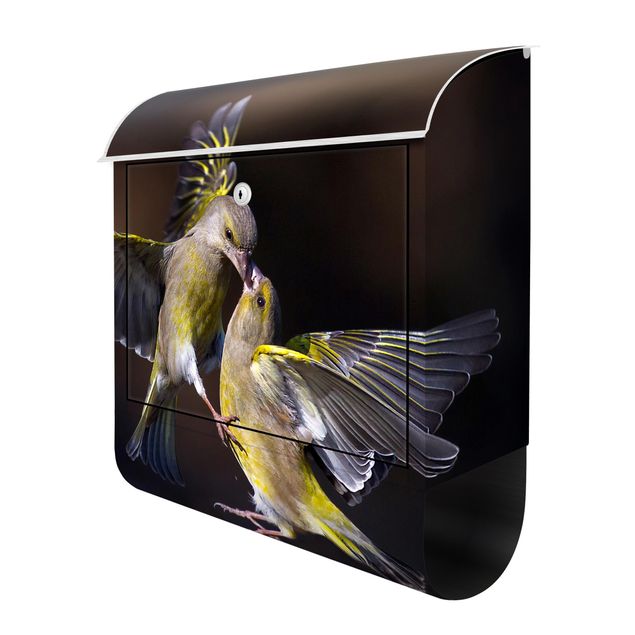 Letterbox - Kissing Hummingbirds