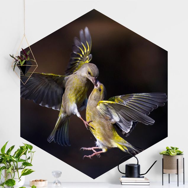 Self-adhesive hexagonal wall mural Kissing Hummingbirds