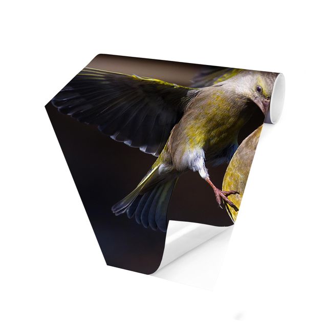 Self-adhesive hexagonal pattern wallpaper - Kissing Hummingbirds