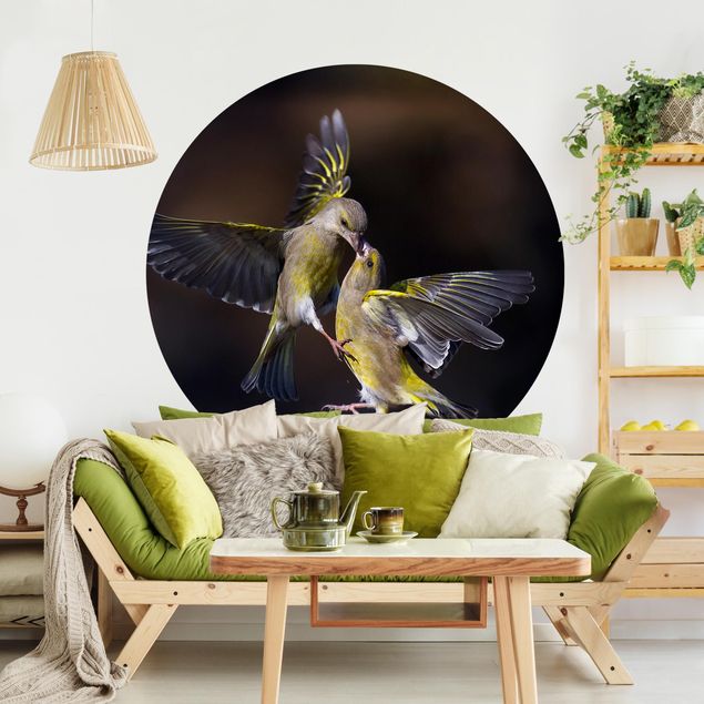 Wallpapers Kissing Hummingbirds