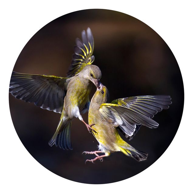 Self-adhesive round wallpaper - Kissing Hummingbirds