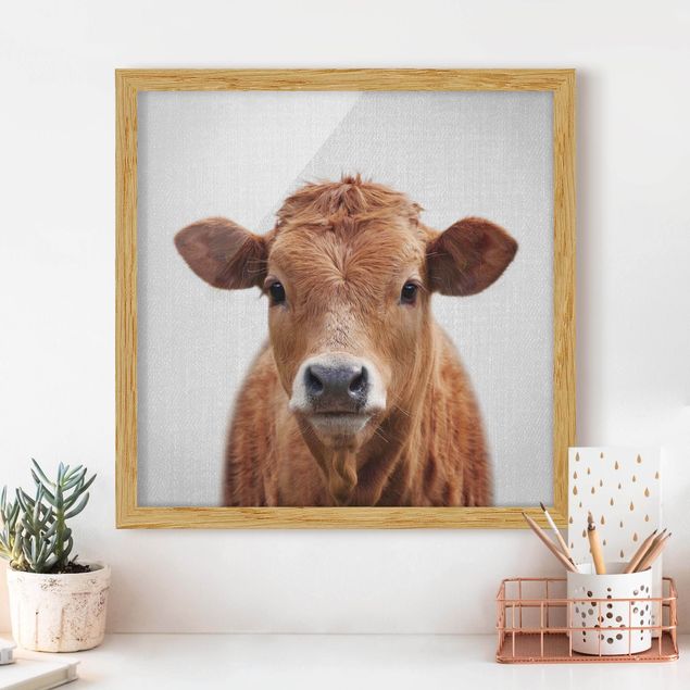 Framed poster - Cow Kathrin