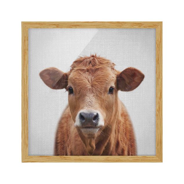 Framed poster - Cow Kathrin