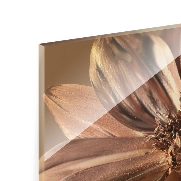 Glass print - Copper Golden Dahlia Dream - Landscape format