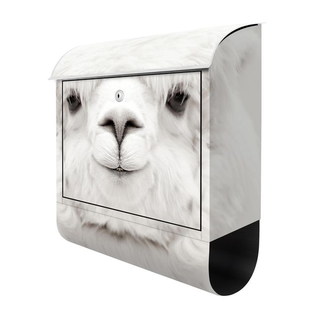 Letterbox - Smiling Alpaca