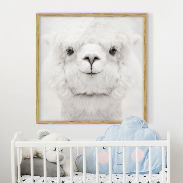 Framed poster - Smiling Alpaca