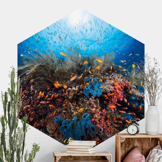 Hexagonal wall mural Lagoon Underwater