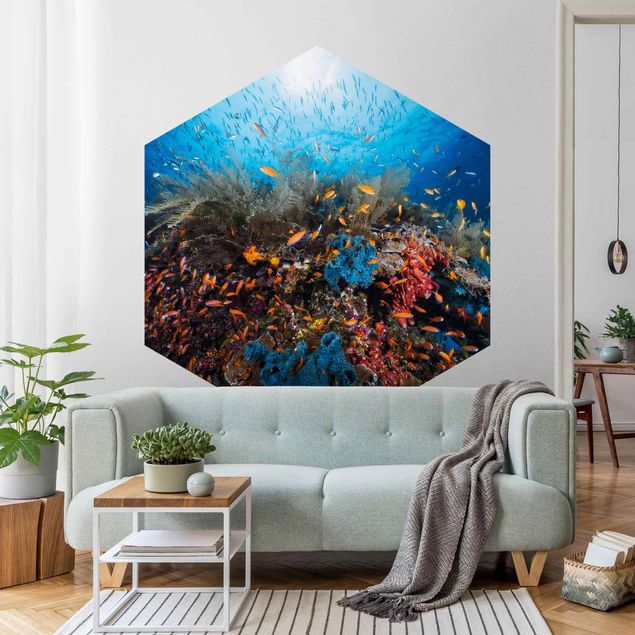 Self-adhesive hexagonal pattern wallpaper - Lagoon Underwater