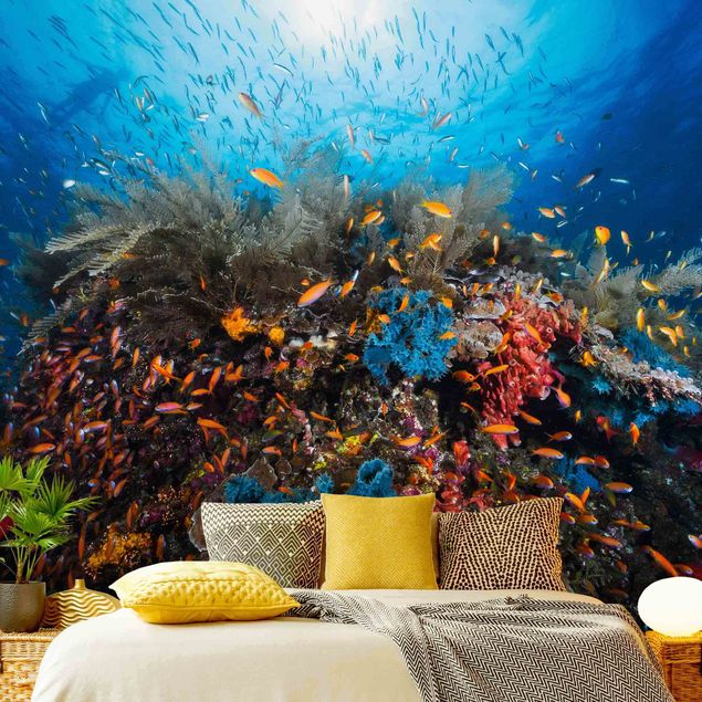 Wallpapers Lagoon Underwater