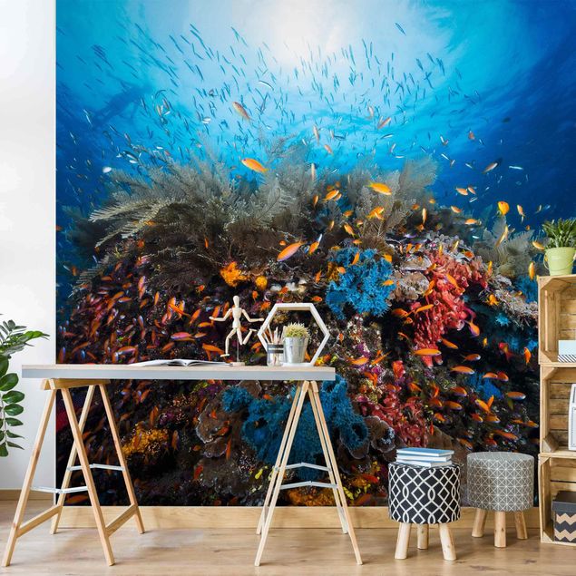 Wallpaper - Lagoon Underwater