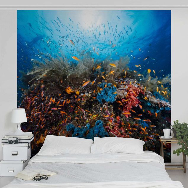 Wallpaper - Lagoon Underwater