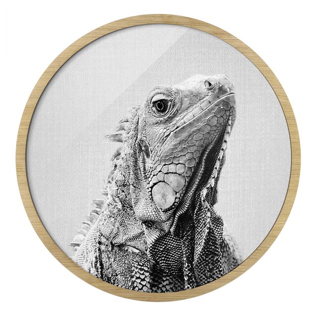 Circular framed print - Iguana Louis Black And White