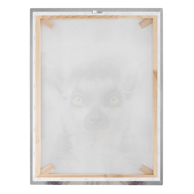Canvas print - Lemur Ludwig - Portrait format 3:4