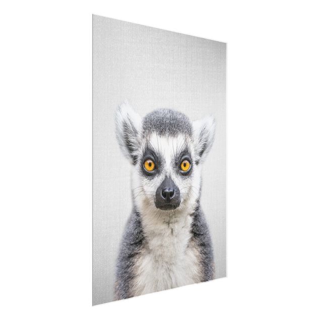Glass print - Lemur Ludwig