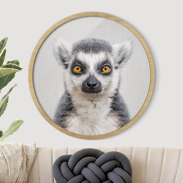 Framed prints round Lemur Ludwig