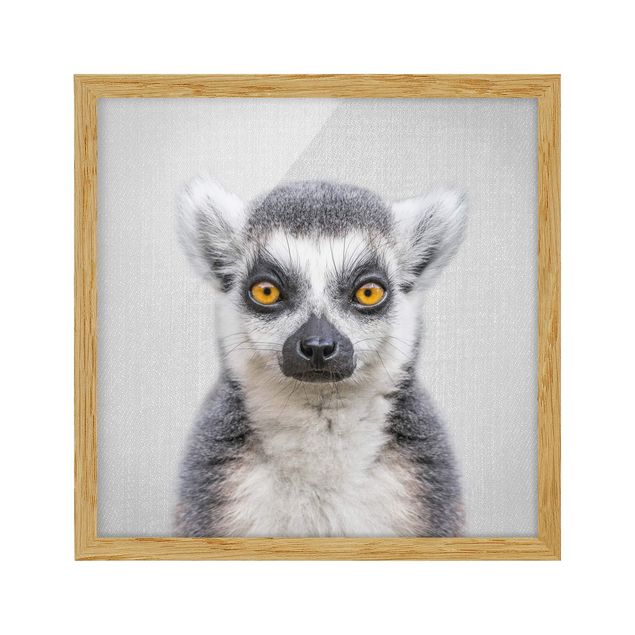 Framed poster - Lemur Ludwig