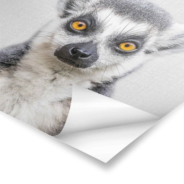 Poster art print - Lemur Ludwig
