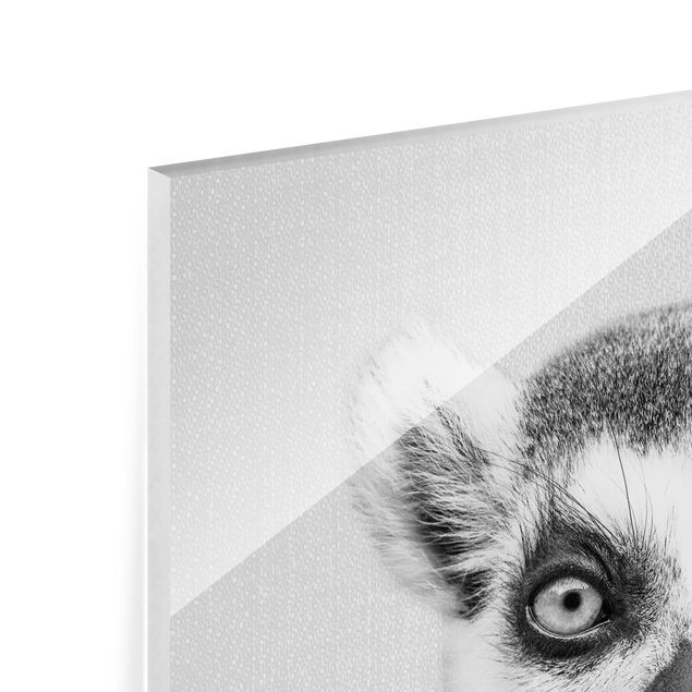 Glass print - Lemur Ludwig Black And White