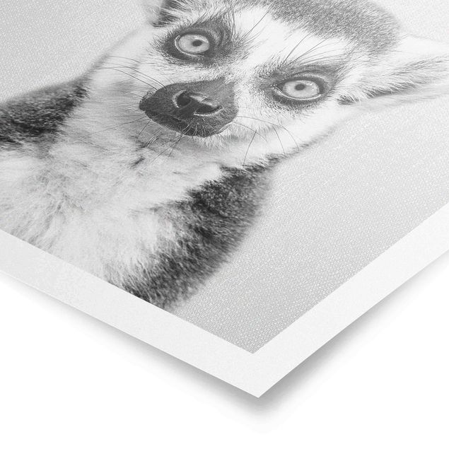 Poster art print - Lemur Ludwig Black And White
