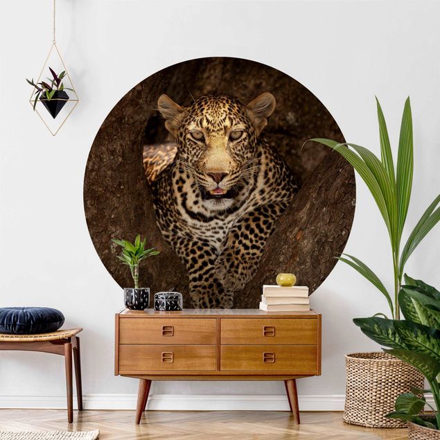 Self-adhesive round wallpaper - Leopard Resting On A Tree