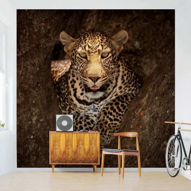 Wallpaper - Leopard Resting On A Tree